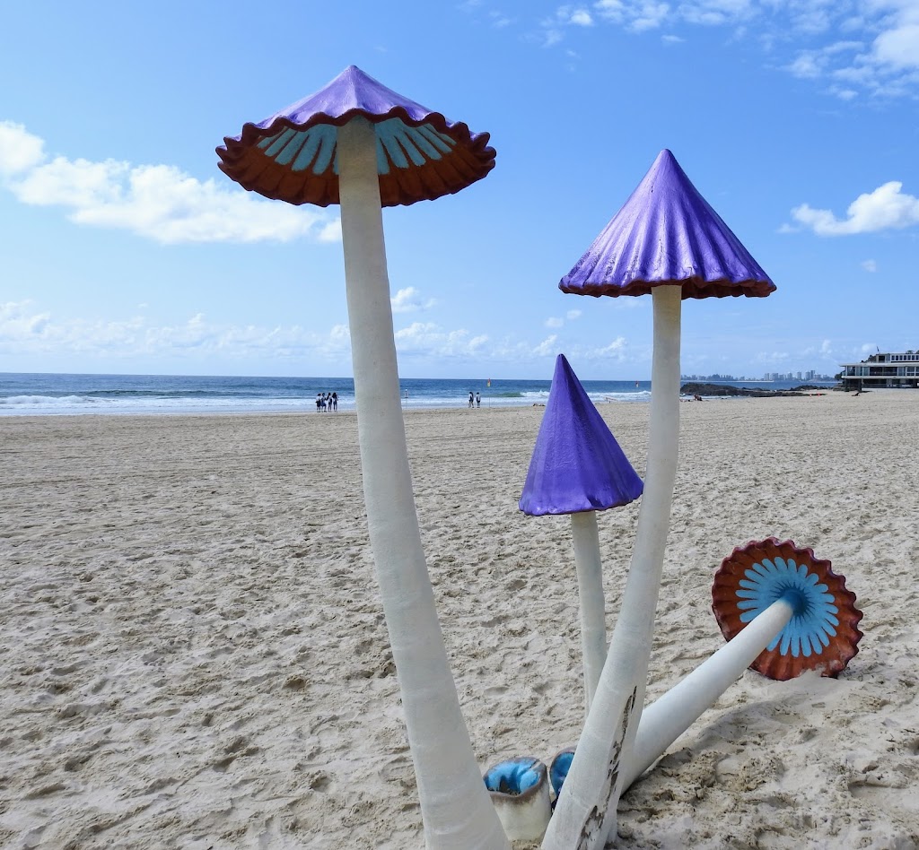 SWELL Sculpture Festival | Pacific Parade, Currumbin QLD 4223, Australia | Phone: 0493 792 965