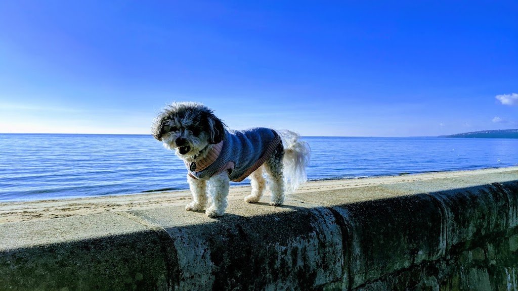 Anthonys Nose Boat Ramp | Point Nepean Rd, Dromana VIC 3936, Australia | Phone: (03) 5981 0933