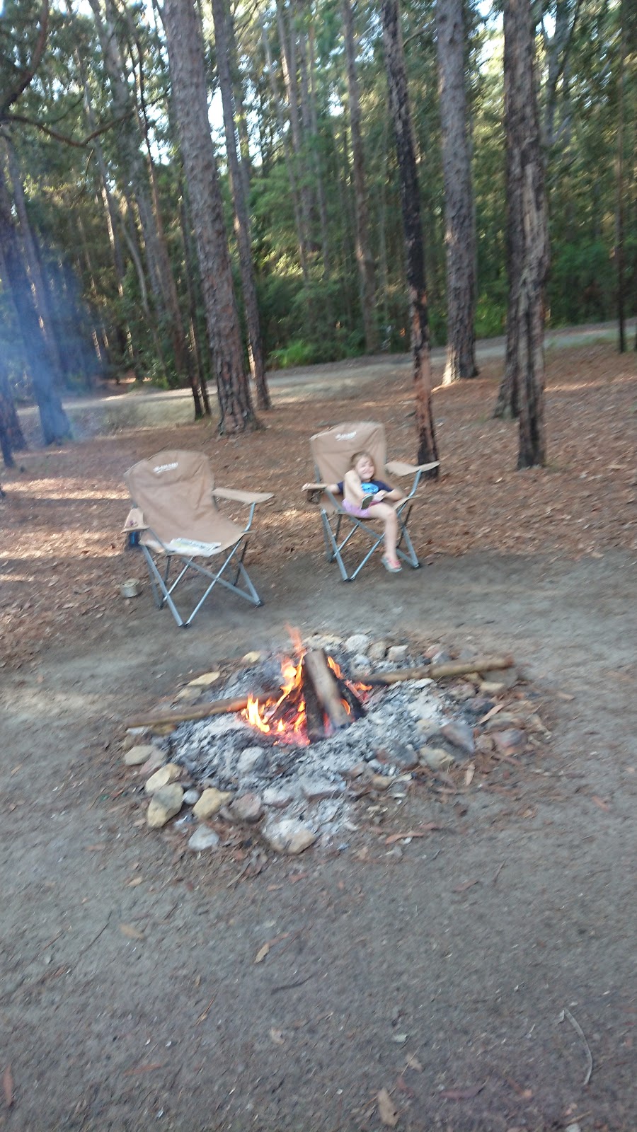 Pines Forest Park | campground | Palmers Rd, Laguna NSW 2325, Australia