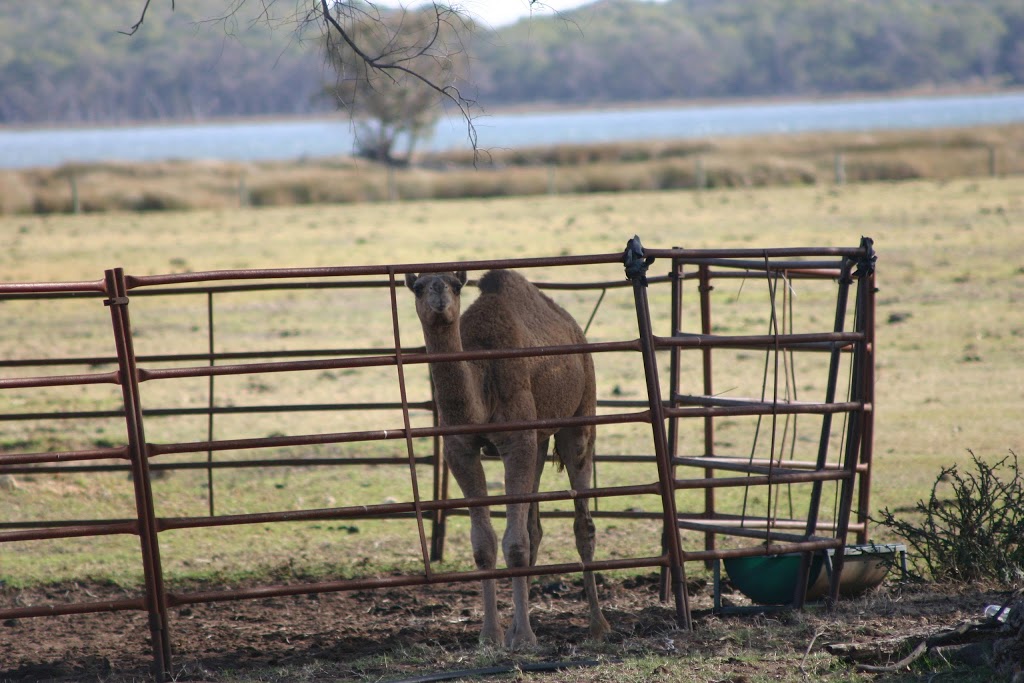 Conservation Reserve | park | Leschenault WA 6233, Australia | 0892199000 OR +61 8 9219 9000