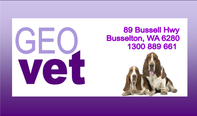 Dr Brett Edwards | veterinary care | 89 Bussell Hwy, West Busselton WA 6280, Australia | 1300889661 OR +61 1300 889 661