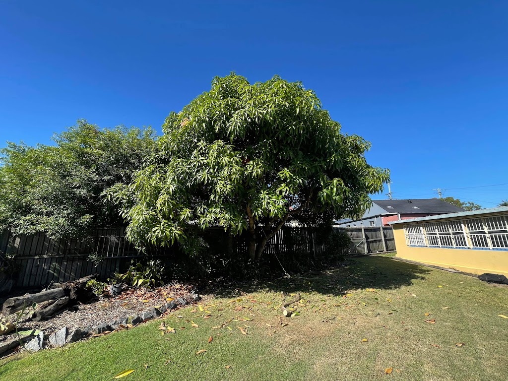 Limb Reaper | 19 Batman Dr, Redbank Plains QLD 4301, Australia | Phone: 0413 263 455