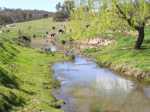 Old Bara Guesthouse | lodging | 631 Bara Road,, Mudgee,, Bara NSW 2850, Australia | 0263736555 OR +61 2 6373 6555