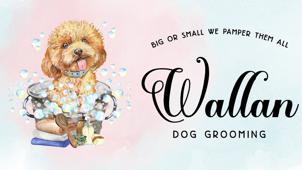 Wallan Dog Grooming | 2/11 Raglan St, Wallan VIC 3756, Australia | Phone: 0432 247 783
