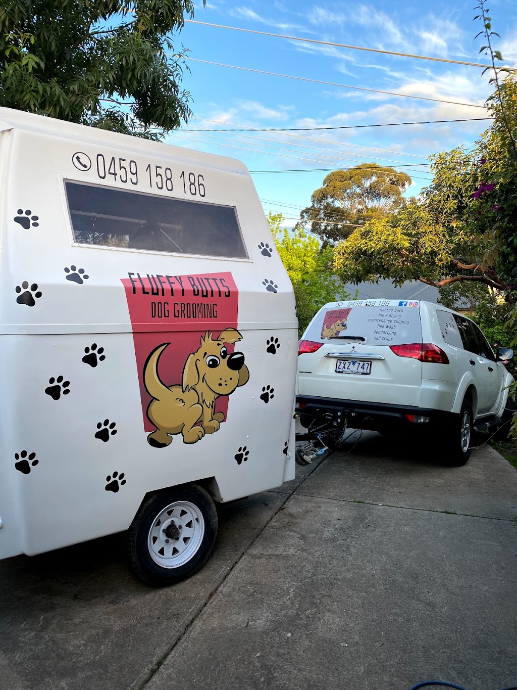 Fluffy Butts Dog Grooming | 1 Hume St, Ringwood East VIC 3135, Australia | Phone: 0459 158 186