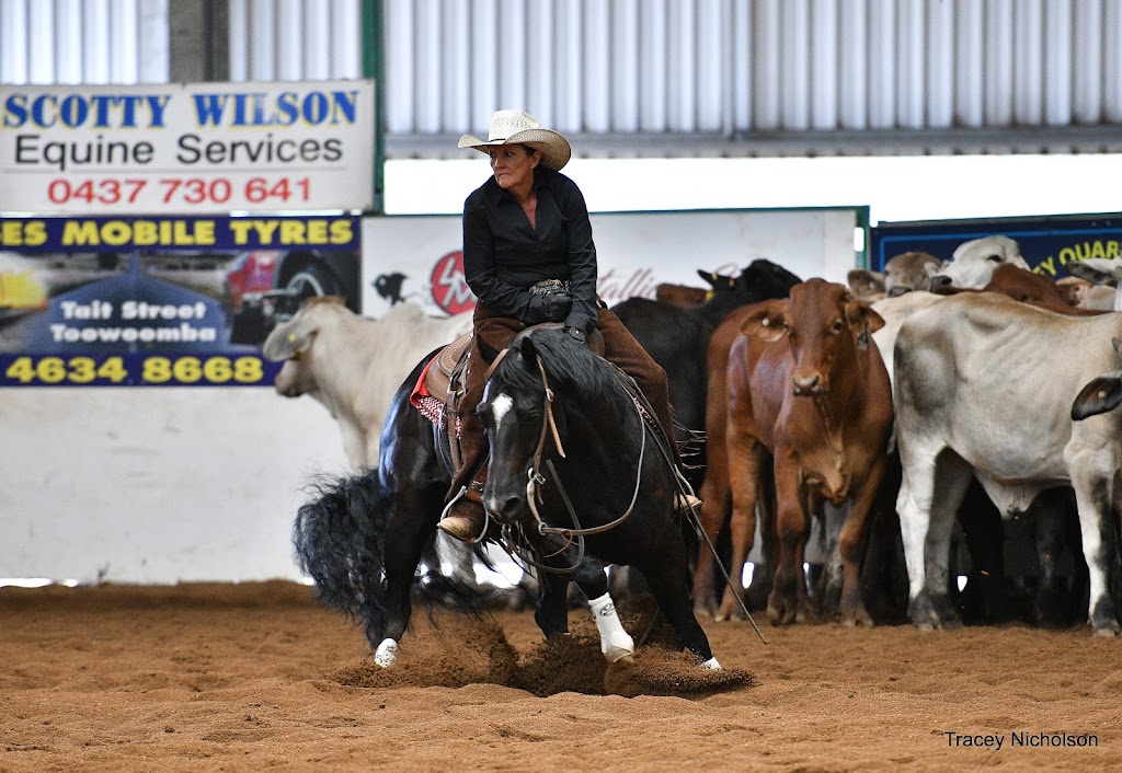 Barnier Equine Lodge | 607 Summerland Way, Carrs Creek NSW 2460, Australia | Phone: 0427 431 973