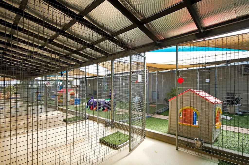 The Furry Godmother Pet Resort | veterinary care | 16 Larkin Ave, Eaton NT 0820, Australia | 1300438779 OR +61 1300 438 779