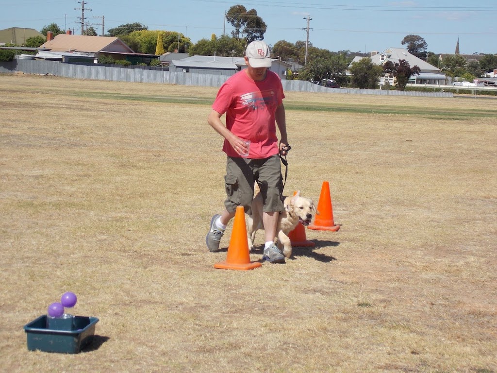 Dogtivities | 93 Australasia Dr, Creswick VIC 3363, Australia | Phone: 0407 867 413
