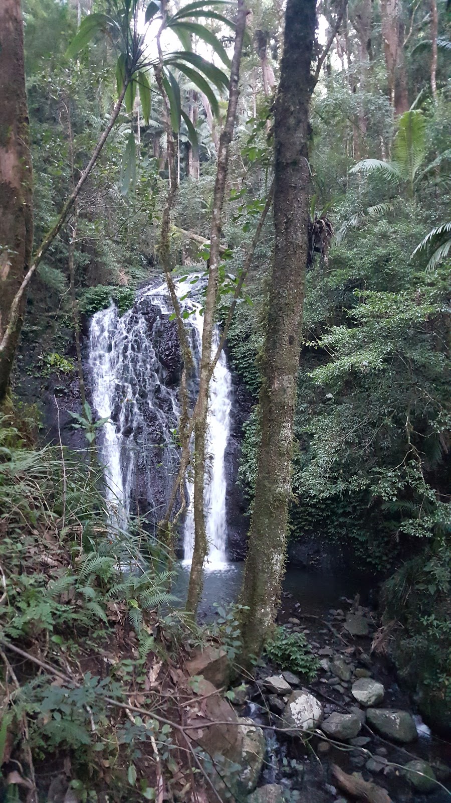 Brushbox Falls Look Out | Unnamed Rd,, Border Ranges NSW 2474, Australia