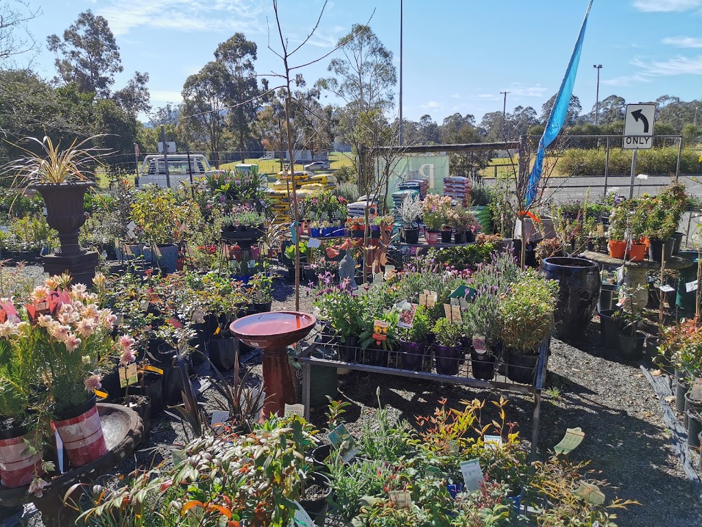 The Village Green Nursery | 165a Moss Vale Rd, Kangaroo Valley NSW 2577, Australia | Phone: (02) 4465 1533