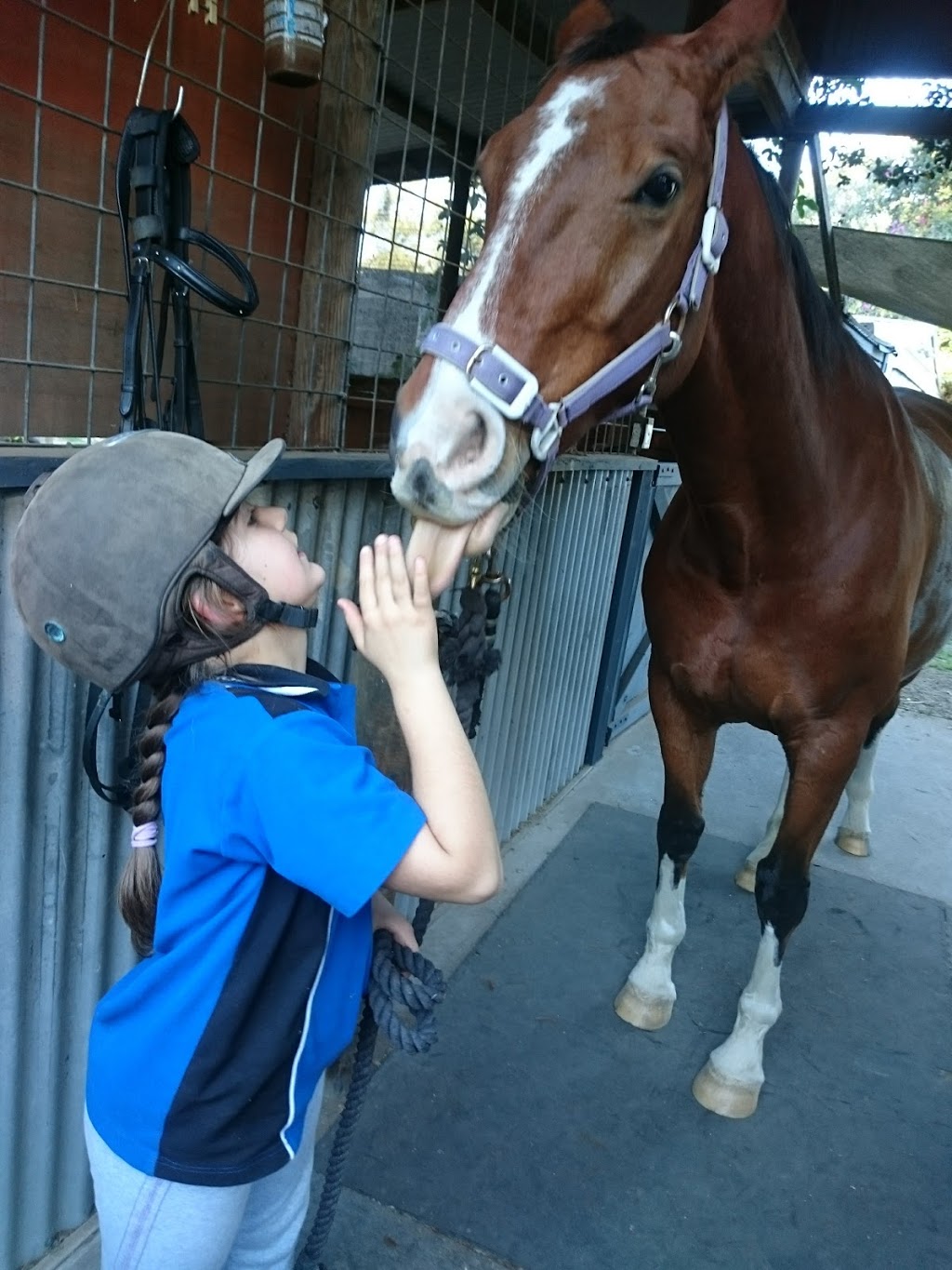 Yarralee Equestrian Developement |  | 76 Pennine Dr, South MacLean QLD 4280, Australia | 0732975856 OR +61 7 3297 5856