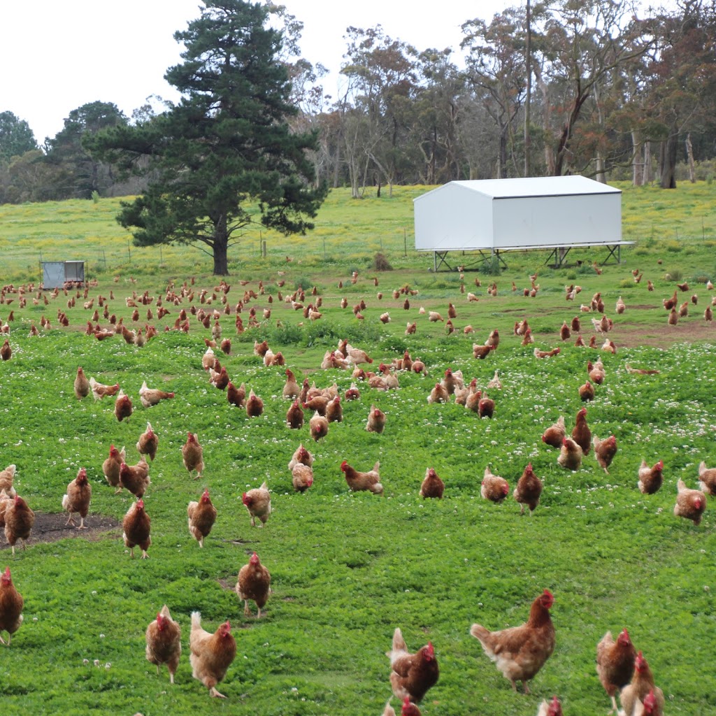 The Ethical Farmers | health | 972 Wisemans Ferry Rd, Somersby NSW 2250, Australia | 0243722021 OR +61 2 4372 2021