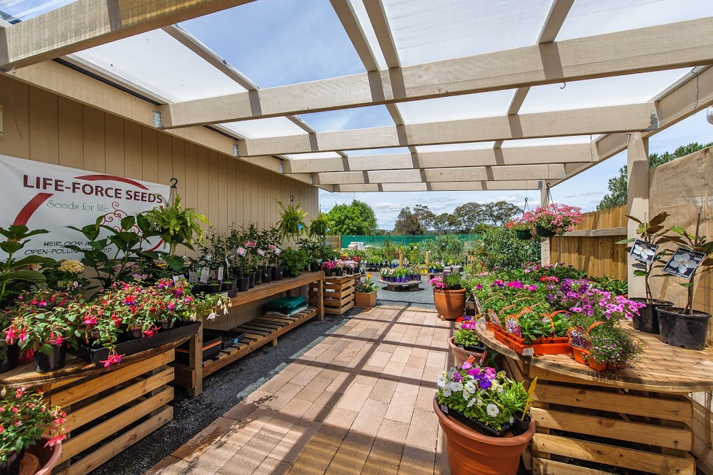 Little Ladybird Plant Nursery | 164 Bridge St, Uralla NSW 2358, Australia | Phone: (02) 6778 3098