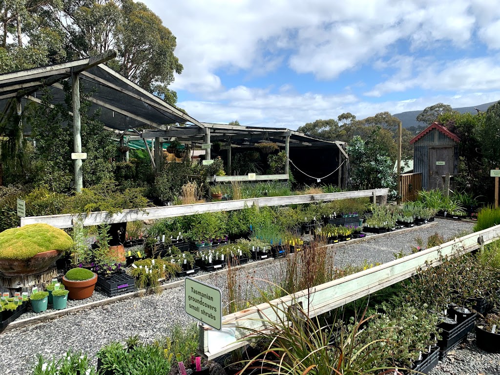 Plants of Tasmania Nursery | 65 Hall St, Ridgeway TAS 7054, Australia | Phone: (03) 6239 1583