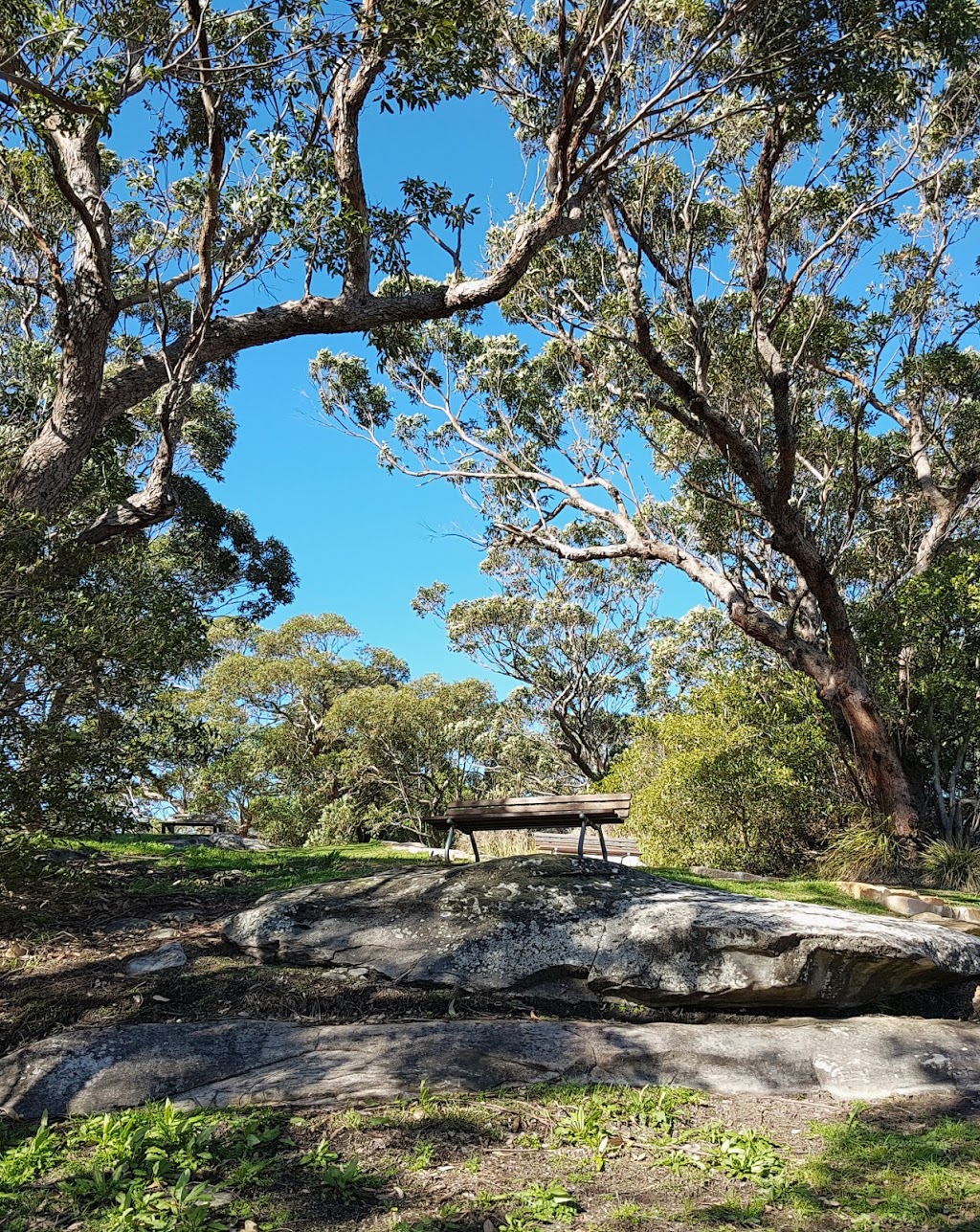 Darook Park South | park | 25 Stacey St, Cronulla NSW 2230, Australia