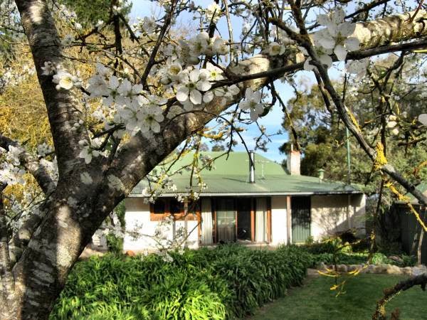 Forest Gate Cottages | lodging | 506 Brookman Rd, Kuitpo SA 5201, Australia | 0415123524 OR +61 415 123 524