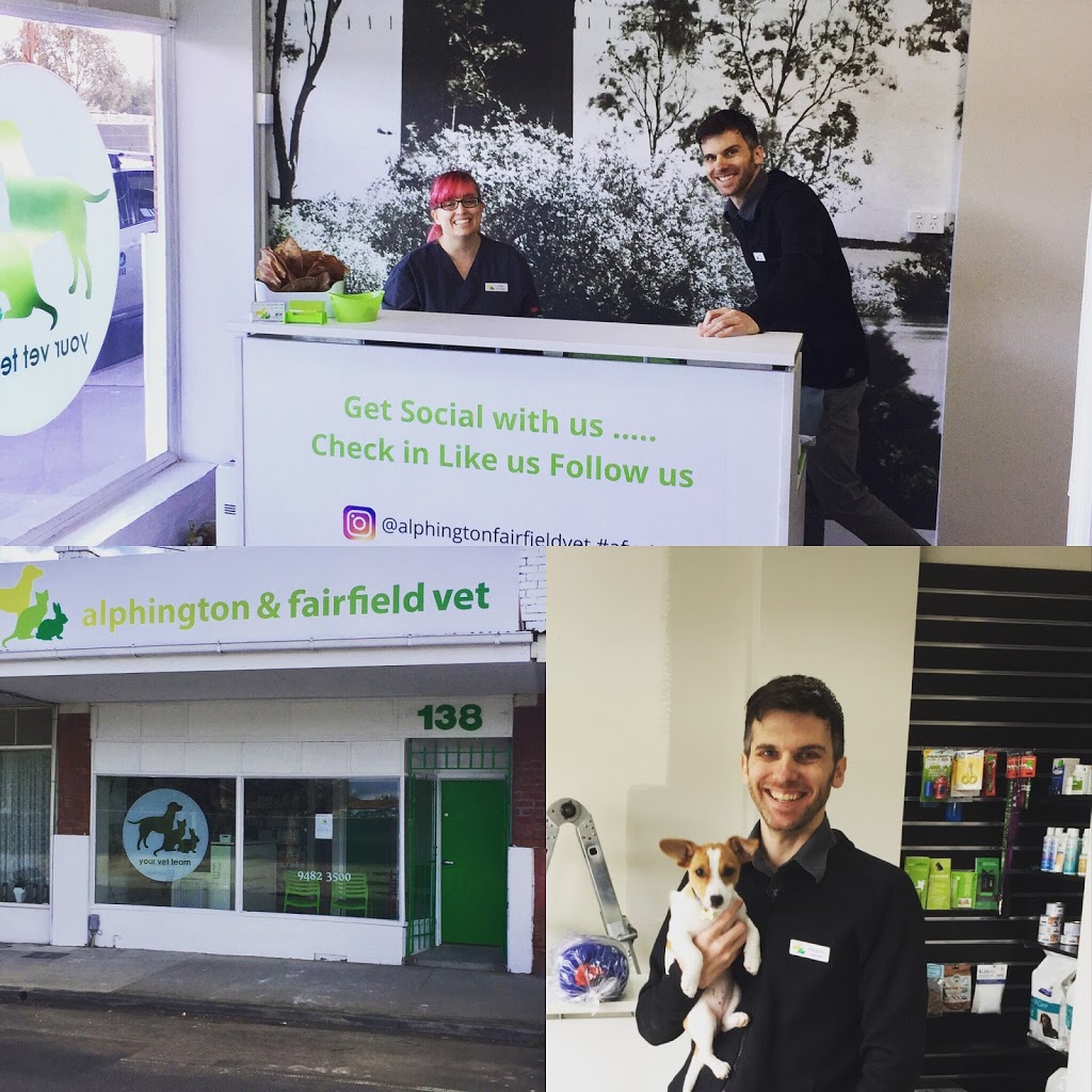 Alphington & Fairfield Vet | veterinary care | 138 Wingrove St, Fairfield VIC 3078, Australia | 0394823500 OR +61 3 9482 3500