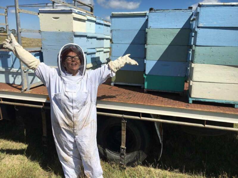HoneyBee Hives |  | 28 Kangaroo Creek Rd, Coutts Crossing NSW 2460, Australia | 0411097275 OR +61 411 097 275