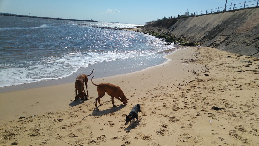 Horseshoe Beach Horseshoe Bend Rd, Newcastle NSW 2300, Australia