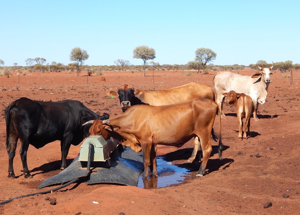 4 Corners windmill | Murchison WA 6630, Australia | Phone: 0467 709 389