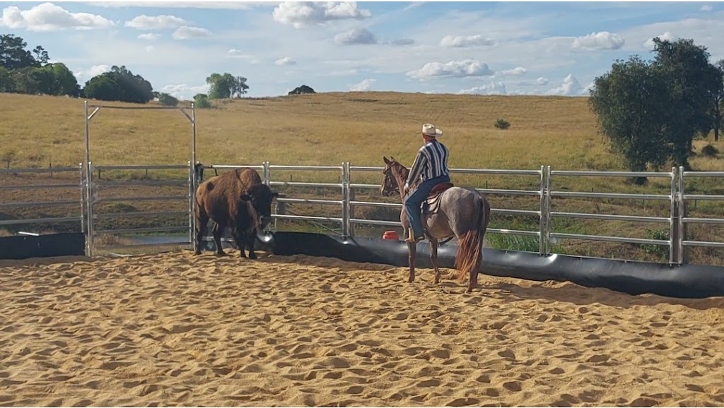 Hancock Horsemanship | 599 Teviotville Rd, Teviotville QLD 4309, Australia | Phone: 0447 264 234