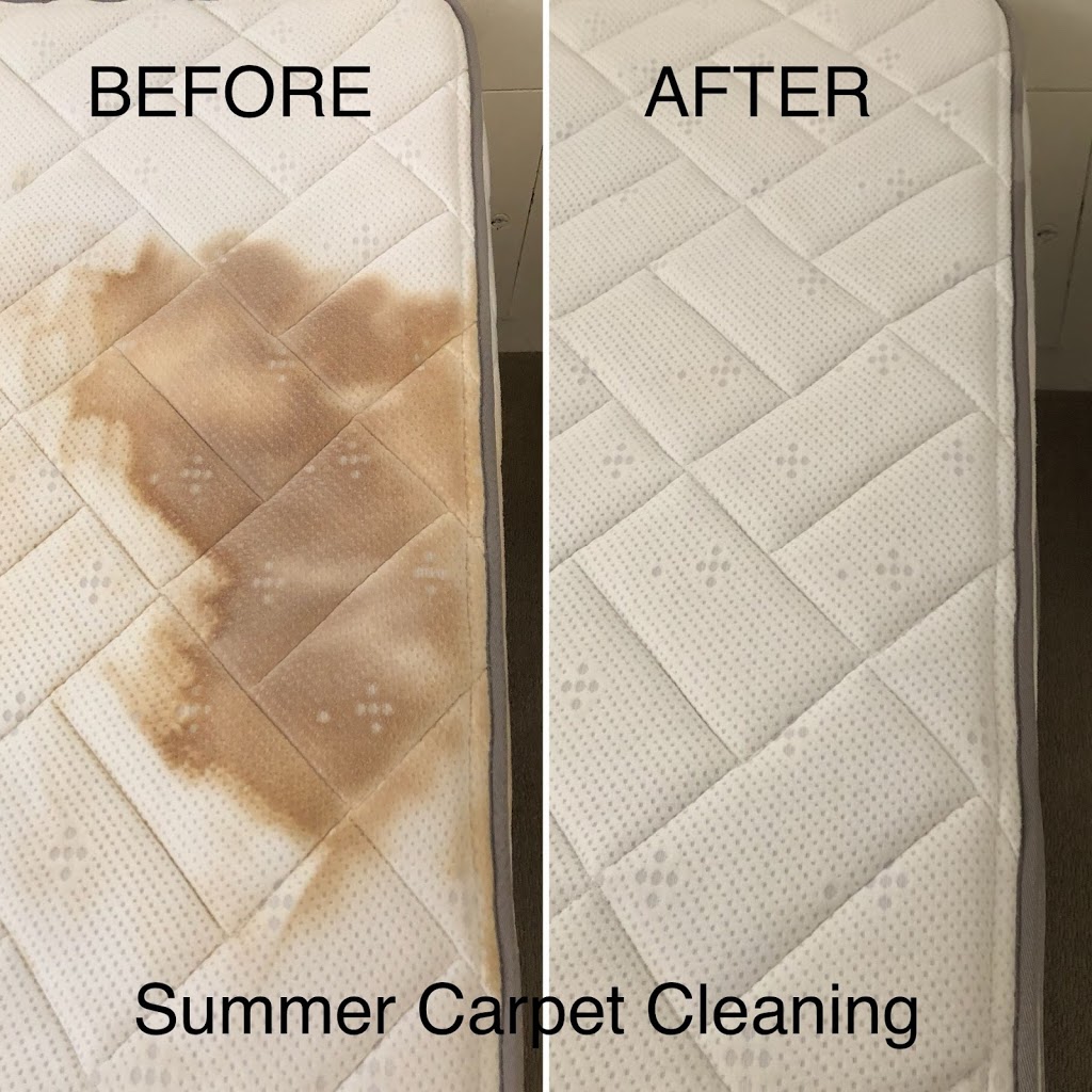 Summer Carpet Cleaning | 21 Innovation Pkwy, Birtinya QLD 4575, Australia | Phone: 0419 779 828