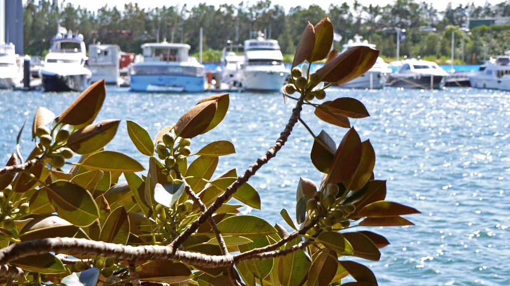 Secret Sydney Walking Tours | Jubilee Park, Glebe NSW 2037, Australia | Phone: 0403 278 890