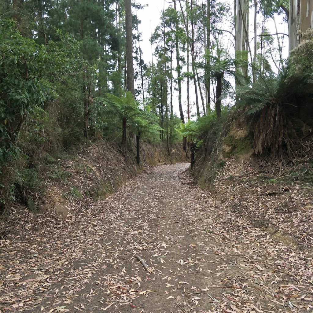 Old Beechy Rail Trail | Old Beechy Rail Trail, Beech Forest VIC 3237, Australia