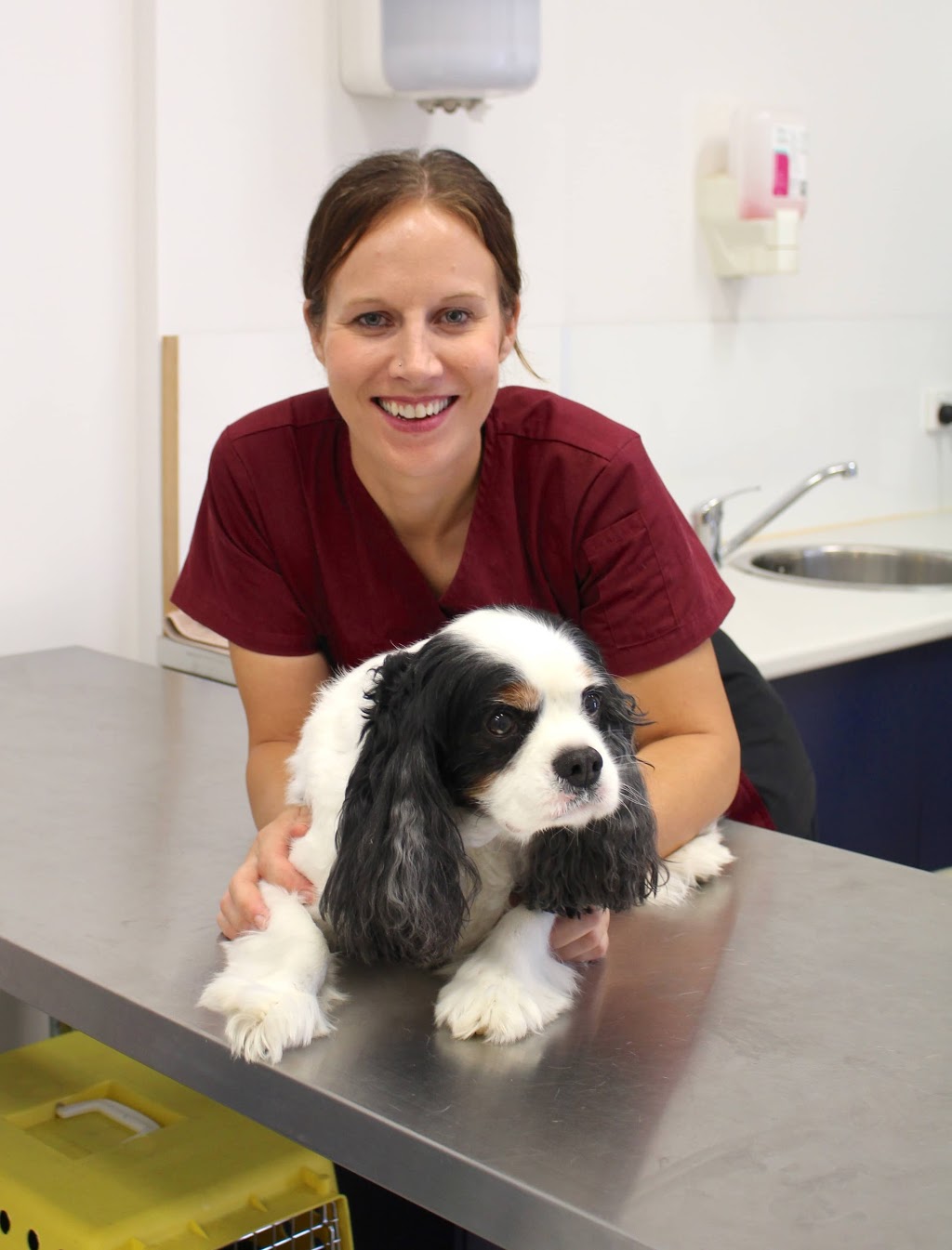 Oxenford Veterinary Surgery - 7/1 Cottonwood Pl, Oxenford QLD 4210 ...