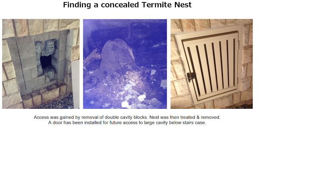 Essential Pest & Termite Control | home goods store | 55 Ingles Circuit, Arundel QLD 4214, Australia | 0414947606 OR +61 414 947 606