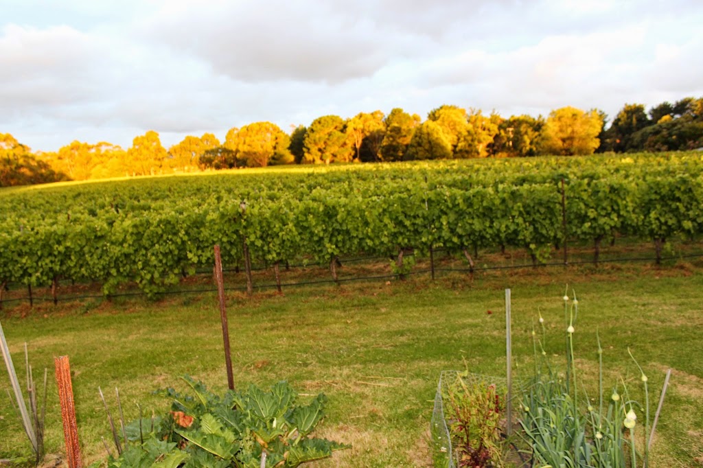 The Wine Farm Cottage | 370 Inverloch Rd, Koonwarra VIC 3954, Australia | Phone: (03) 5664 3204