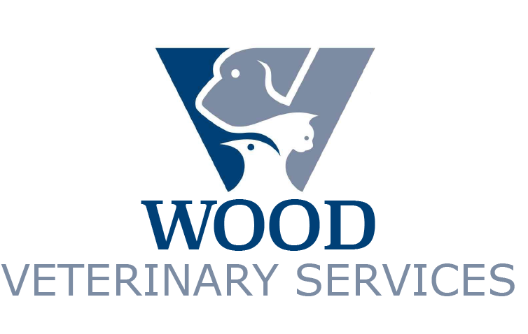 Wood Veterinary Services | 5149, Falcon WA 6210, Australia | Phone: 0420 486 673