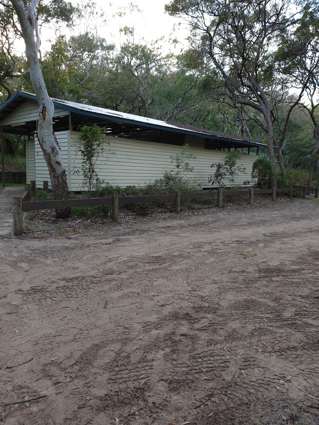 Waddy Point Top Campground | Orchid Beach Rd, Fraser Island QLD 4581, Australia