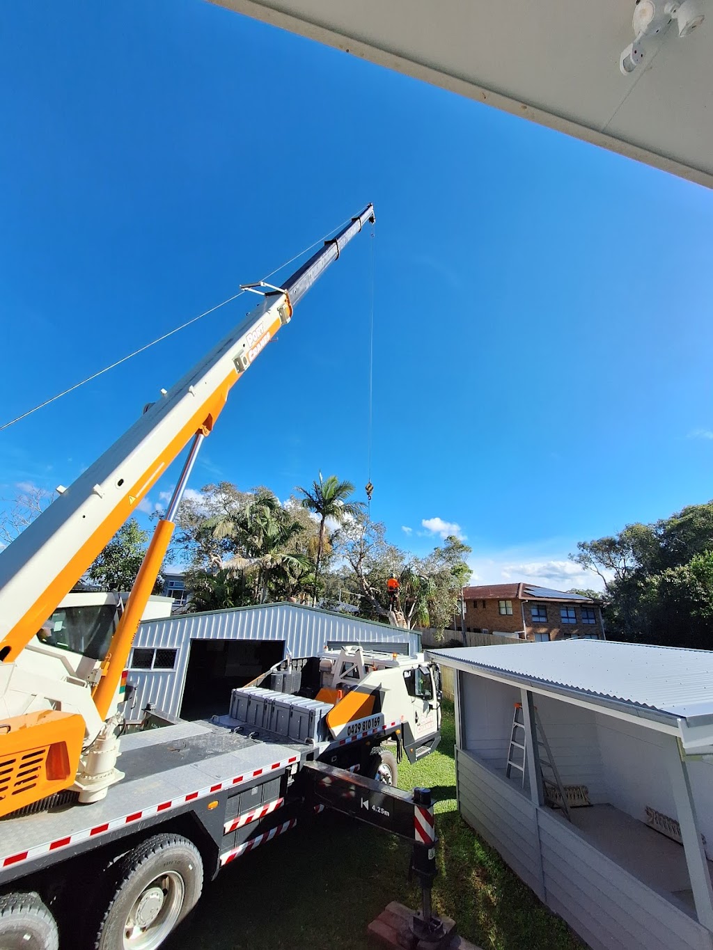 Espie Arb Tree Services | 286 Ocean Dr, Lakewood NSW 2443, Australia | Phone: 0423 329 111