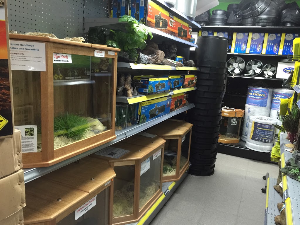 Reptile Trader - WA | pet store | 117 Dixon Rd, East Rockingham WA 6168, Australia | 0895272245 OR +61 8 9527 2245