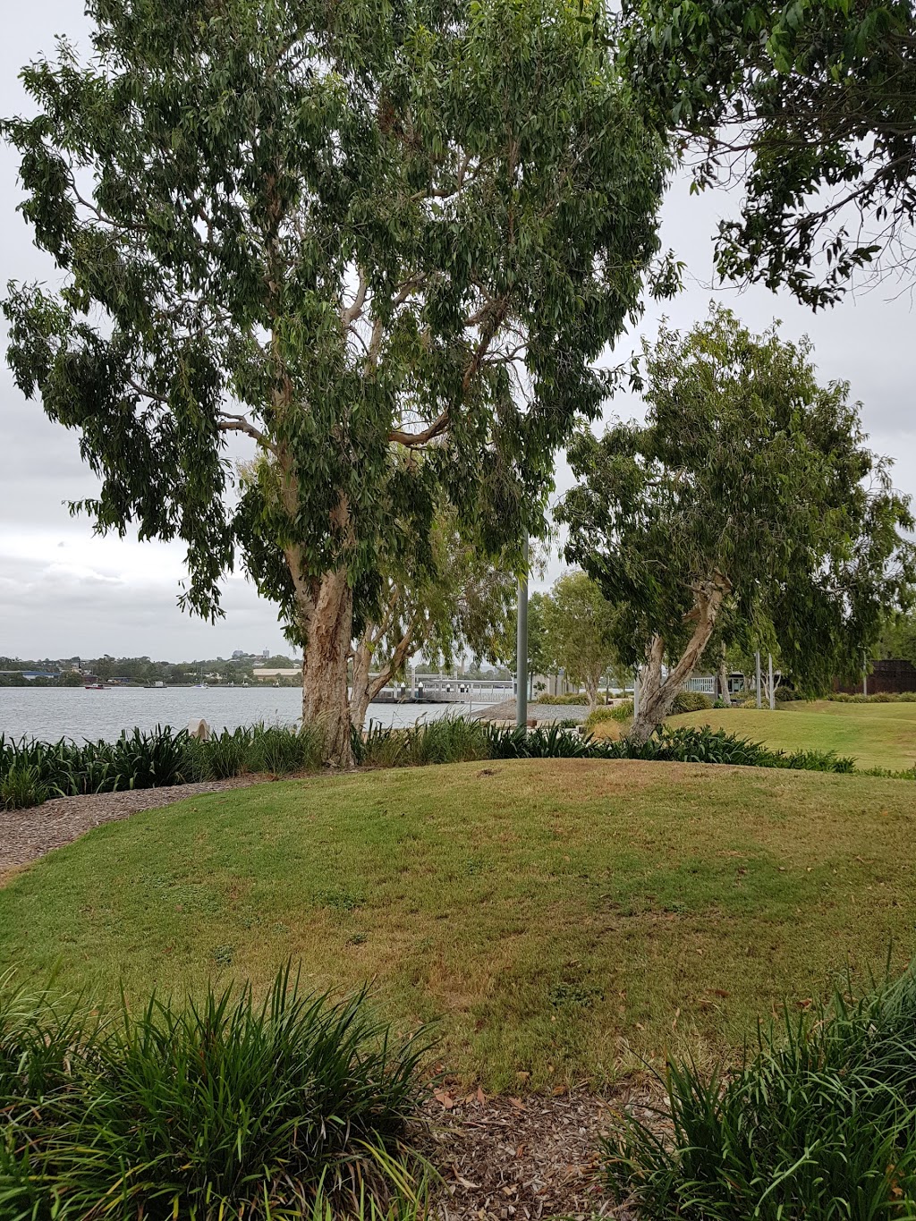 Northshore Riverside Park | park | Hamilton QLD 4007, Australia