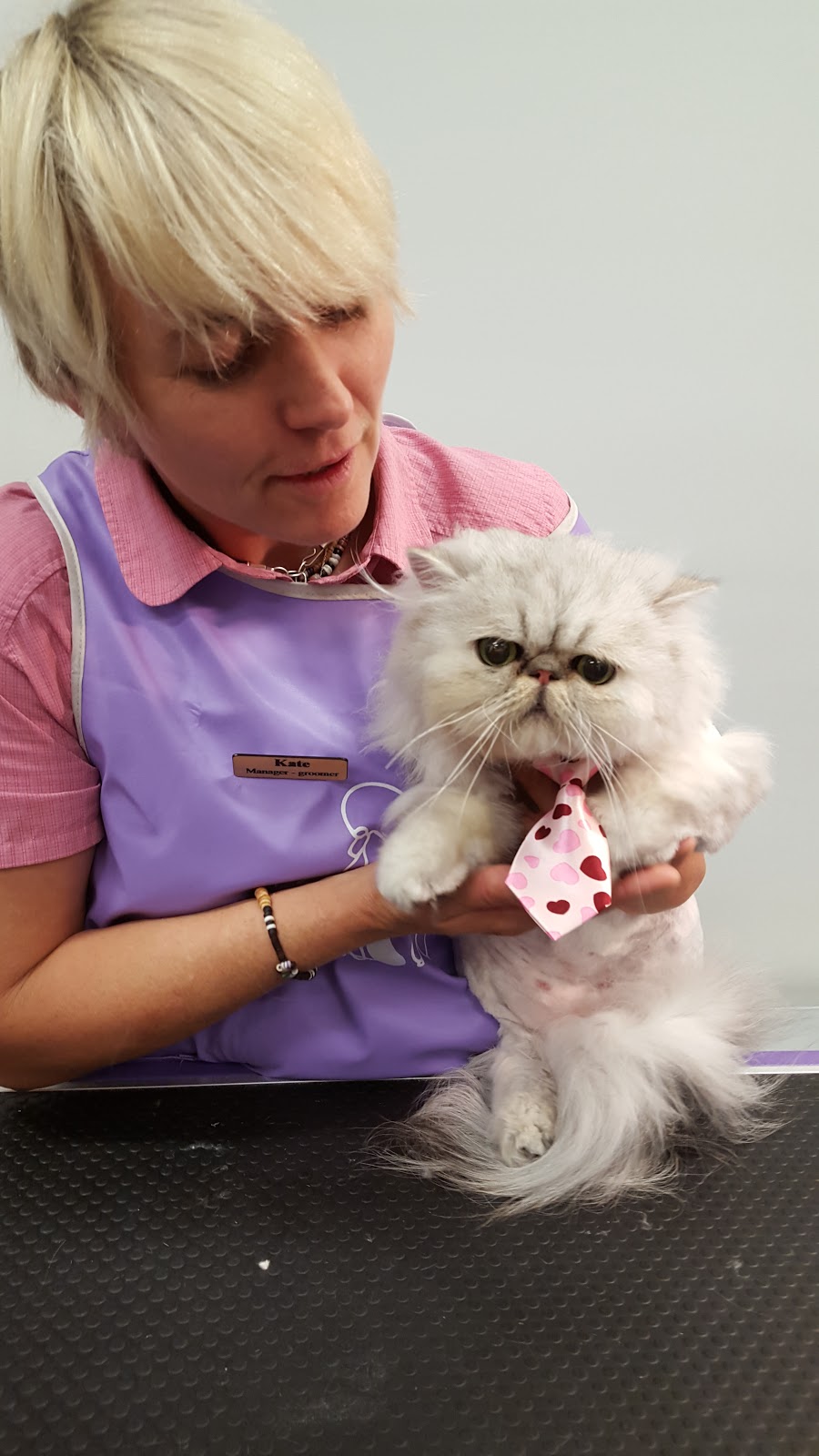 Kitten-Caboodle cat grooming salon |  | 50 Hewlett Cct, Florey ACT 2617, Australia | 0424567526 OR +61 424 567 526