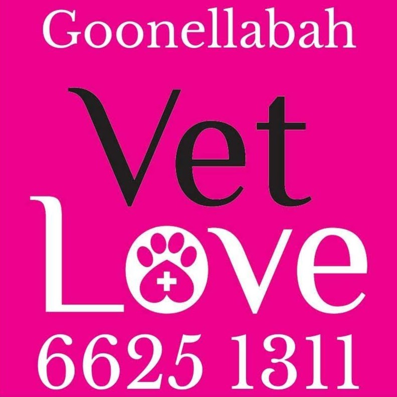 VetLove Goonellabah Veterinary Clinic | veterinary care | 37 Holland St, Goonellabah NSW 2480, Australia | 0266251311 OR +61 2 6625 1311