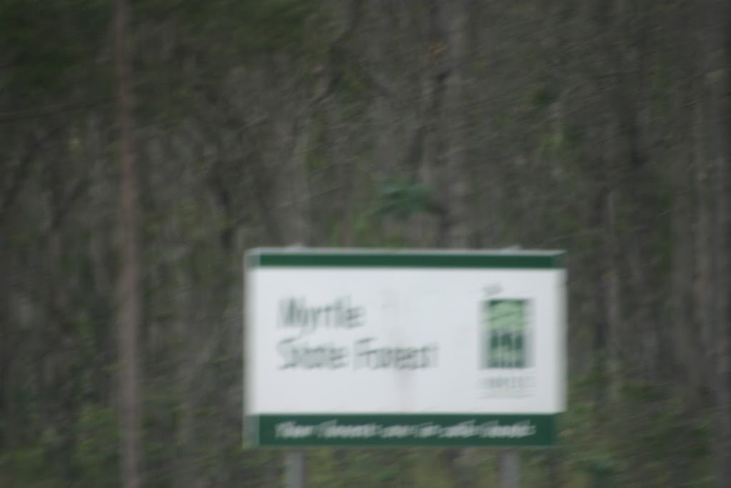 Myrtle State Forest | park | Unnamed Road, Whiporie NSW 2469, Australia