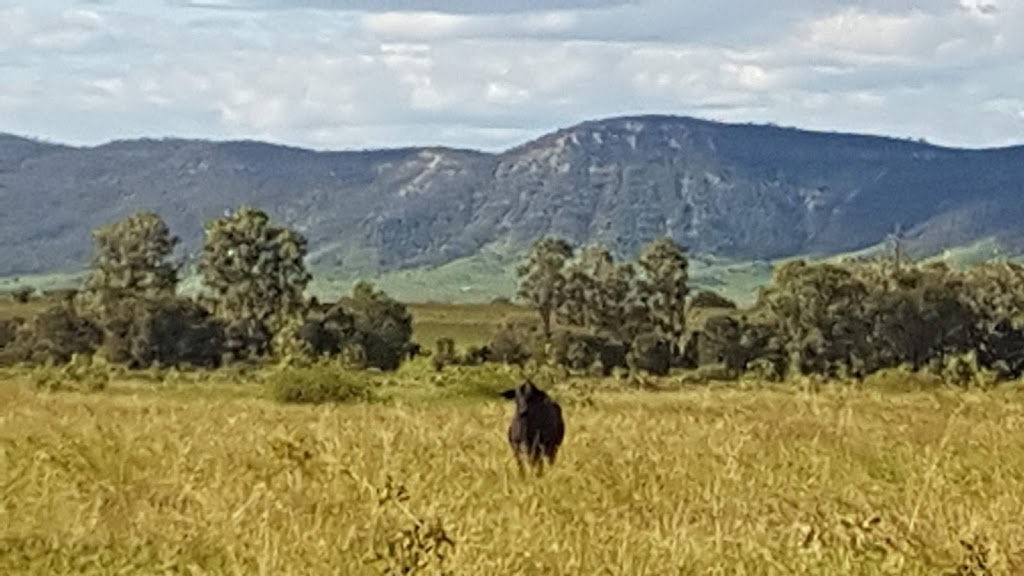 Expedition (Limited Depth) National Park | Baroondah QLD 4420, Australia