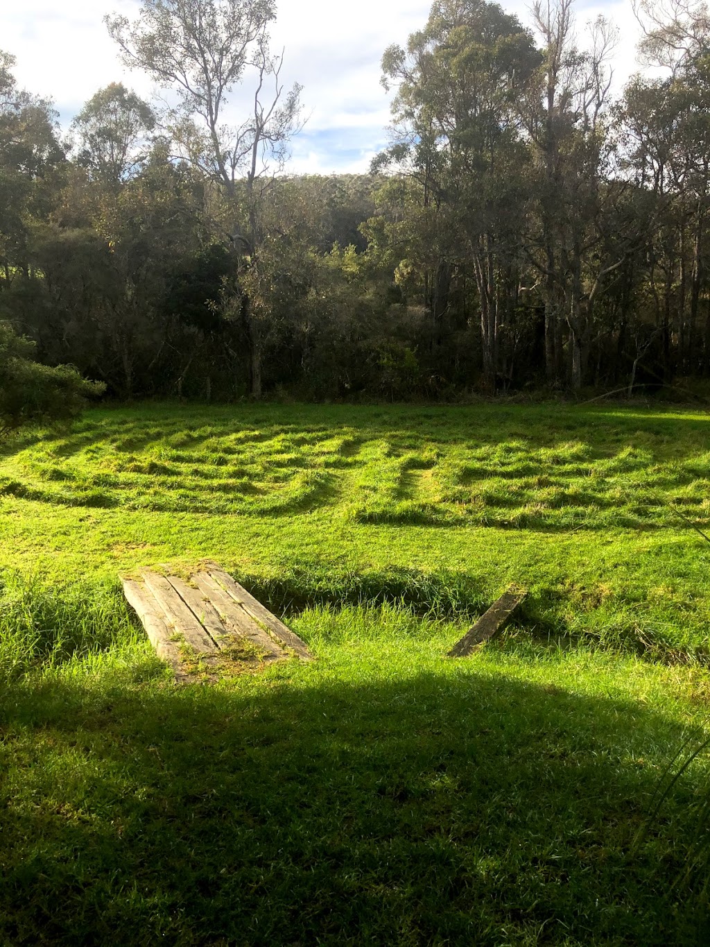 Denmark Maze | 94 Lapko Rd, Shadforth WA 6333, Australia | Phone: (08) 9848 2090