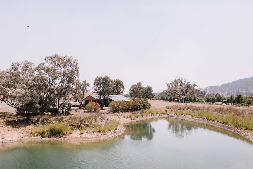 The Truffle Farm | 23 Mount Majura Rd, Australian Capital Territory 2609, Australia | Phone: 0400 483 082