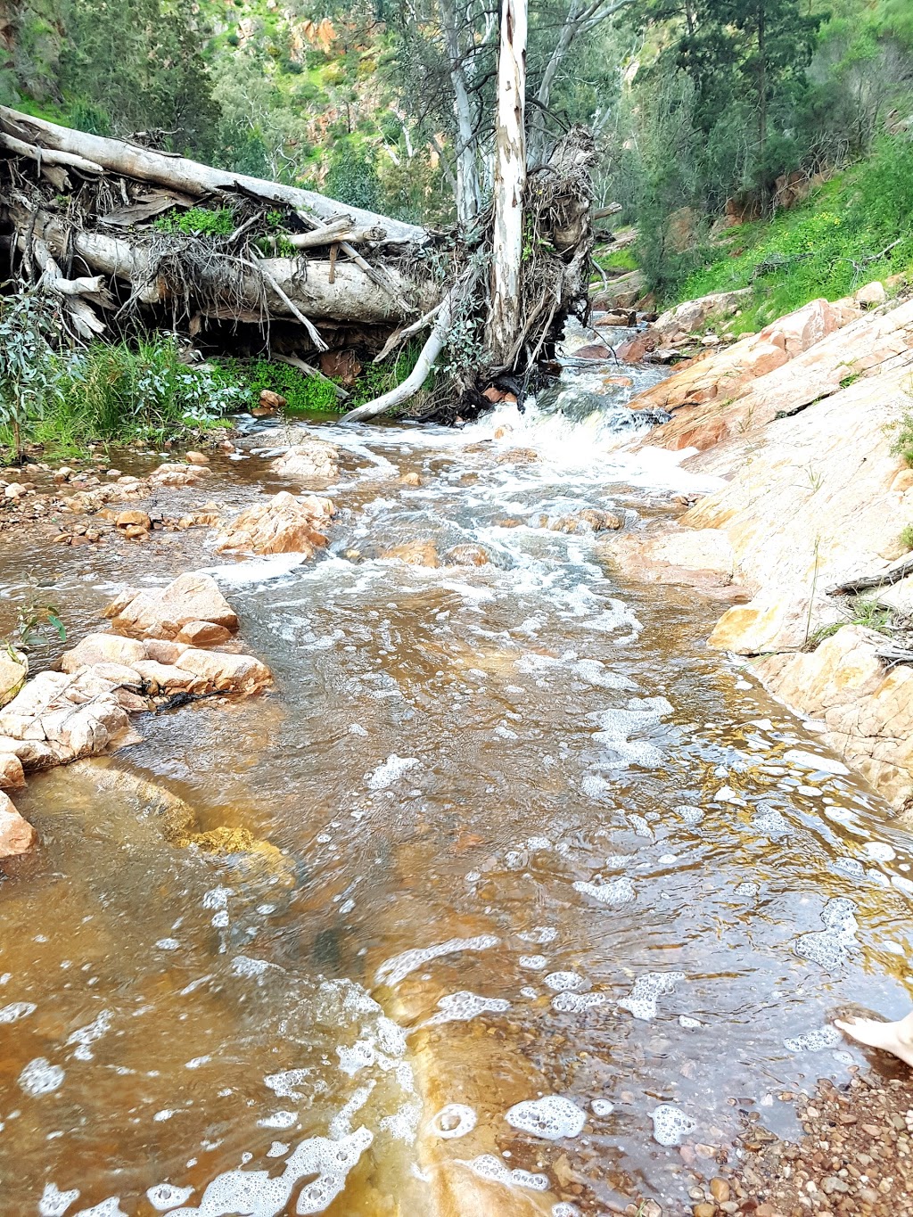 Telowie Gorge Conservation Park | park | Telowie SA 5540, Australia