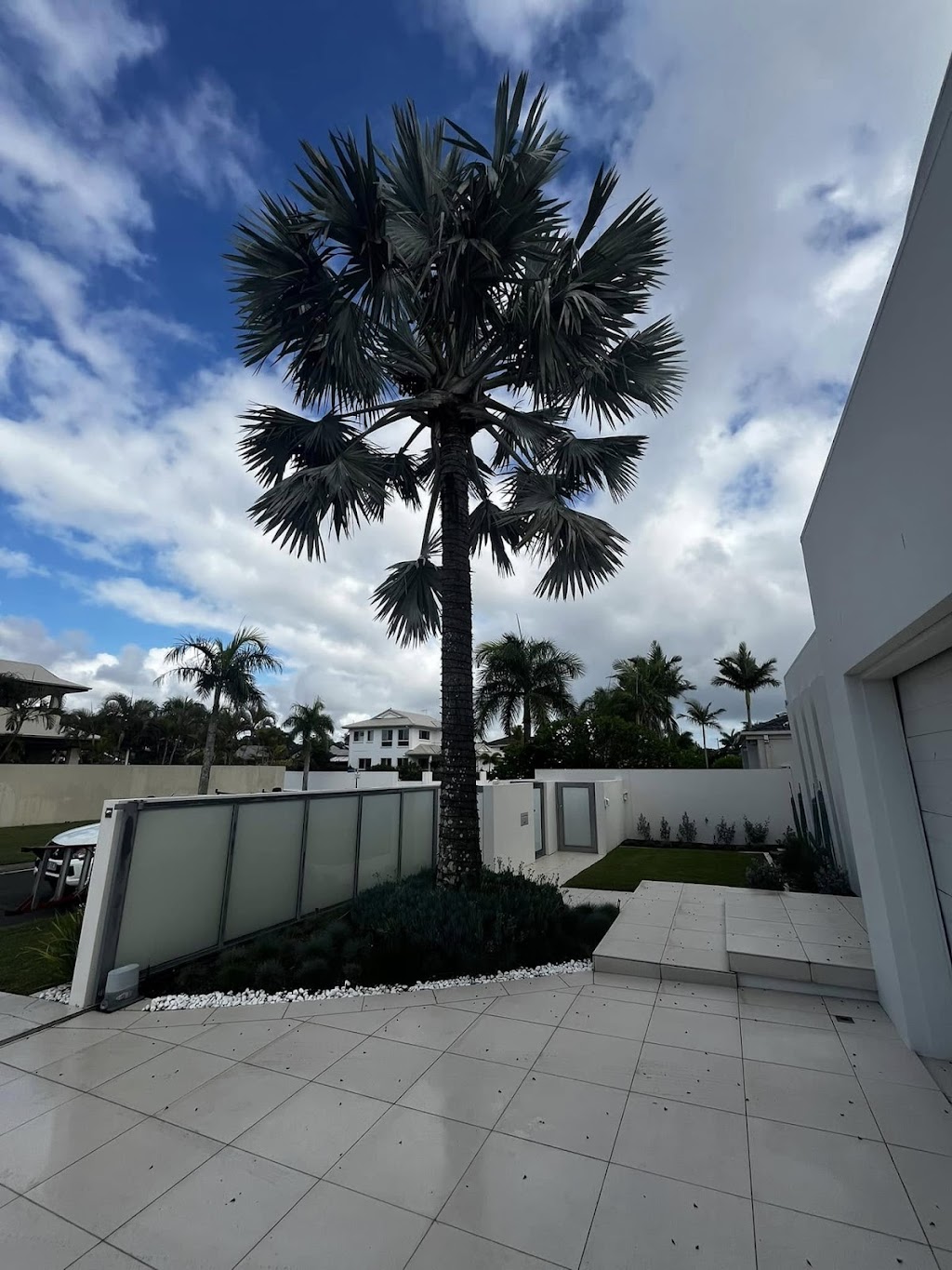 Dans Tree Experts | 220 Avalon Rd, Sheldon QLD 4157, Australia | Phone: 0466 270 743