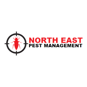 North East Pest Management | home goods store | 19 Kerry Ct, Launceston TAS 7250, Australia | 0429163705 OR +61 429 163 705