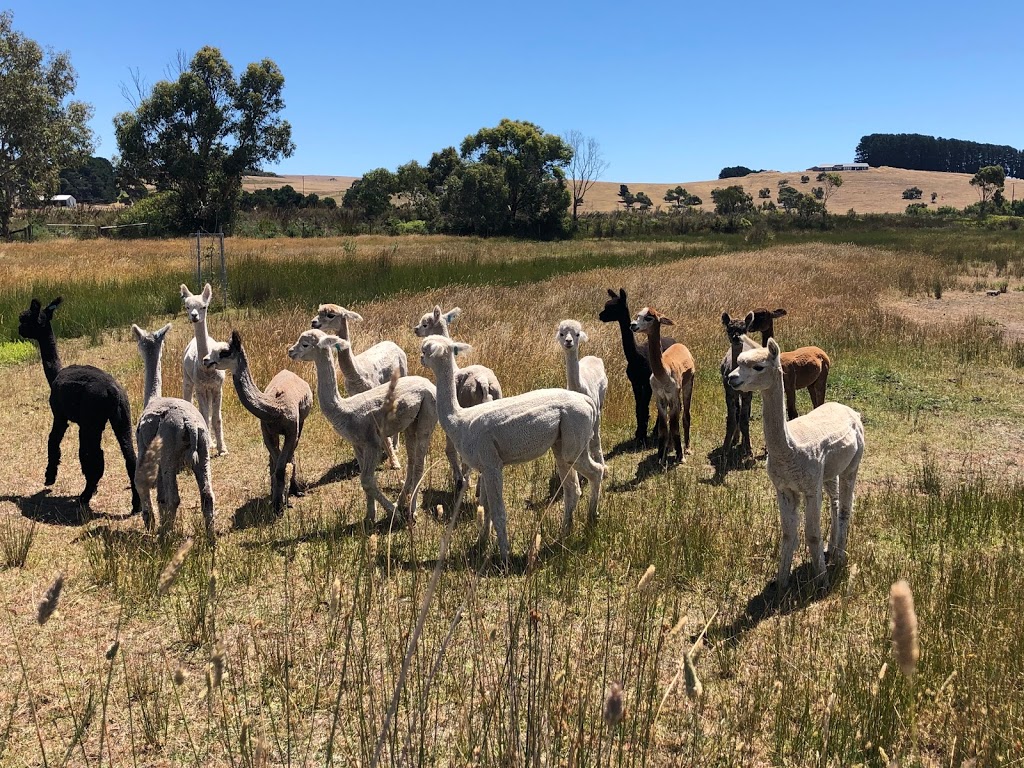 Ambersun Alpacas |  | 2721 Victor Harbor Rd, Mount Compass SA 5210, Australia | 0417826762 OR +61 417 826 762