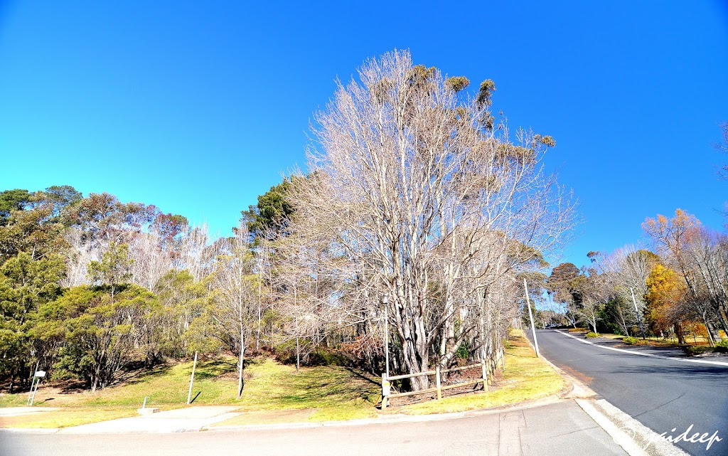 Blackheath Glen Tourist Park | 67-69 Prince Edward St, Blackheath NSW 2785, Australia | Phone: (02) 4787 8101