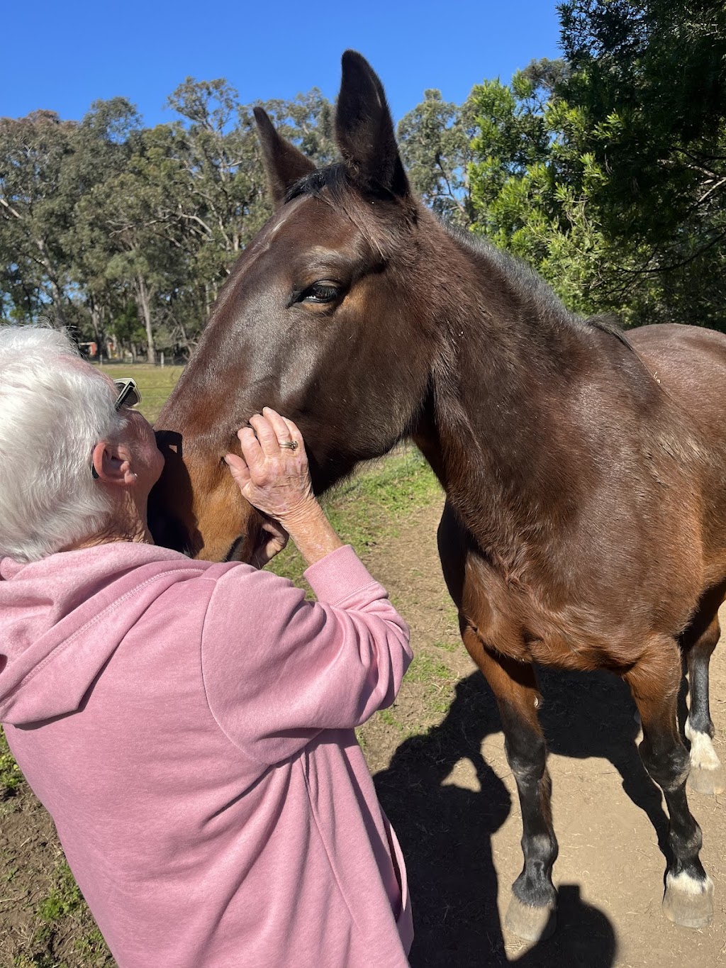 Hooves For Hope | 74 Mcmahons Rd, Kurrajong NSW 2758, Australia | Phone: 0447 772 717 Hooves For Hope | 74 Mcmahons Rd, Kurrajong NSW 2758, Australia | Phone: 0447 772 717