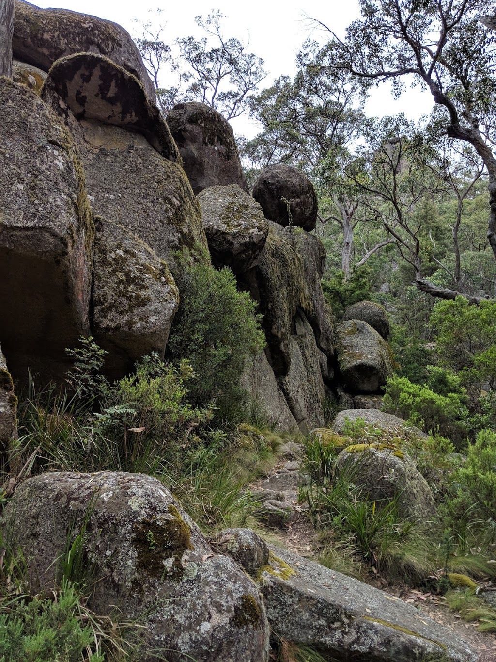 Cathedral Rock National Park | park | Ebor NSW 2453, Australia | 1300072757 OR +61 1300 072 757