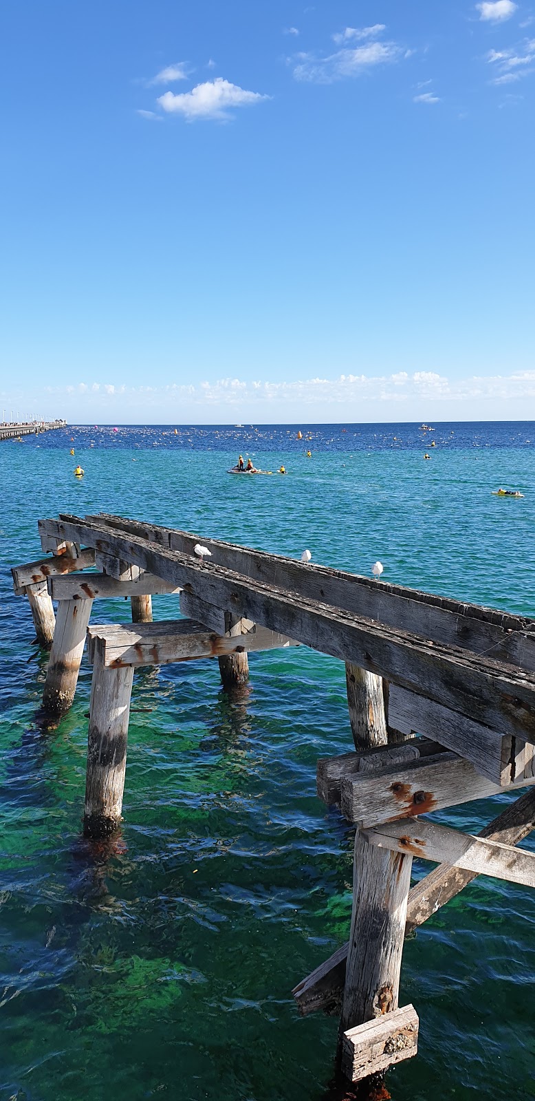 Underwater Observatory | Busselton WA 6280, Australia | Phone: (08) 9754 0900